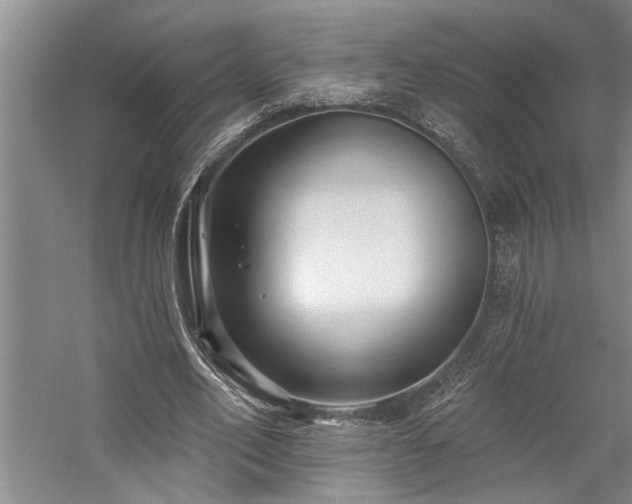 X0000059060582200510071044