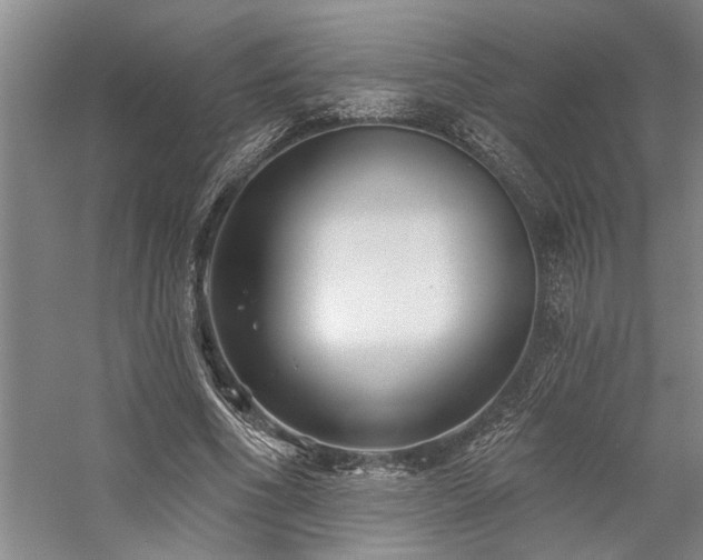 X0000059060586200510071044