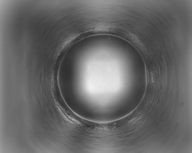 X0000059060588200510071044