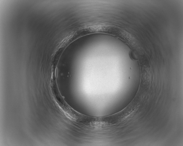 X0000059060590200510071044