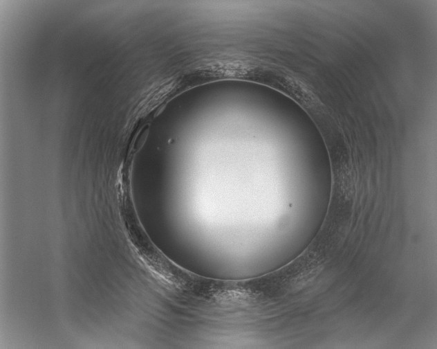 X0000059060594200510071044