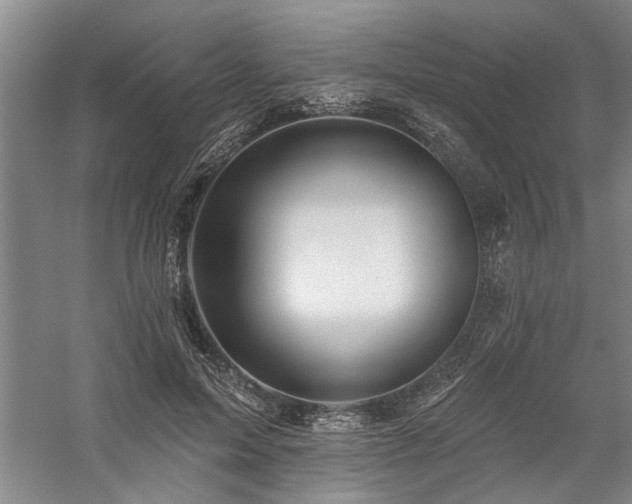 X0000059060599200510071044