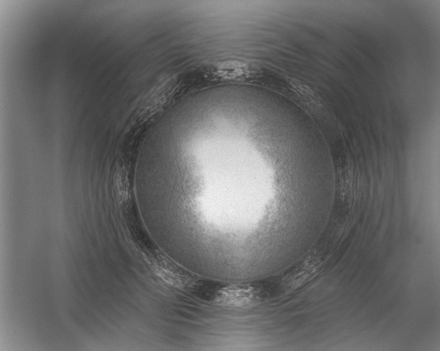 X0000059060606200510071044