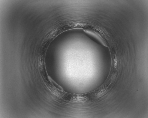 X0000059060607200510071044