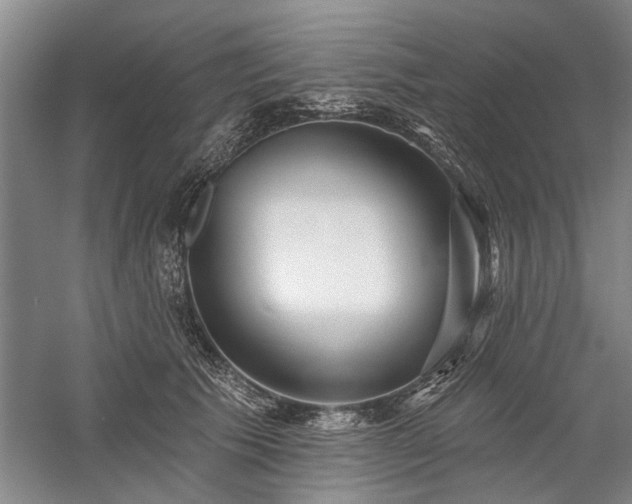 X0000059060609200510071044