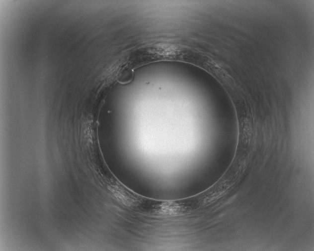 X0000059060612200510071044