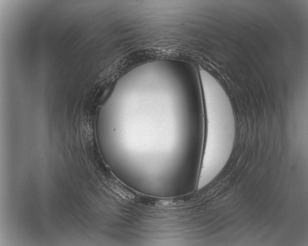 X0000059060613200510071044