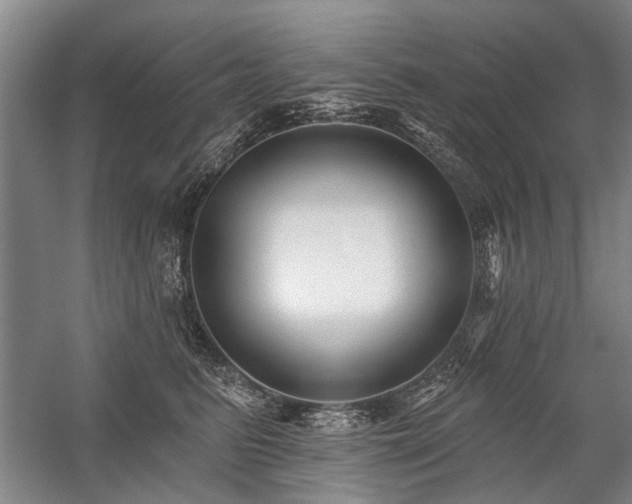 X0000059060615200510071044