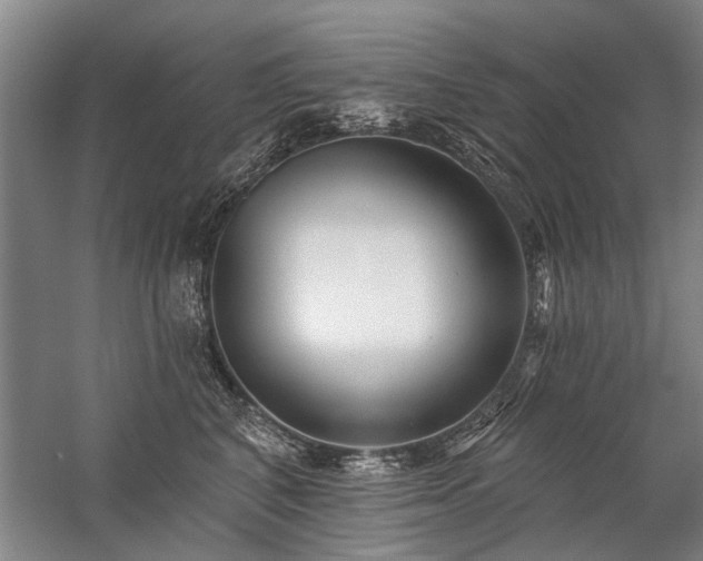 X0000059060616200510071044