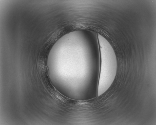 X0000059060617200510071044