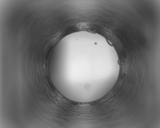 X0000059060618200510071044