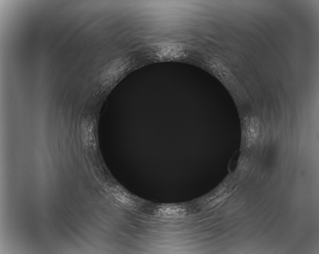 X0000059060619200510071044