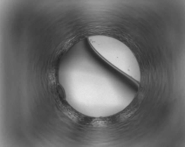 X0000059060620200510071043