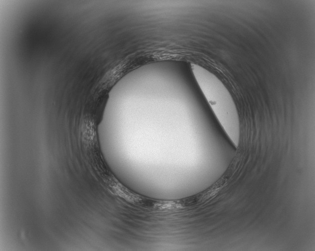 X0000059060621200510071043