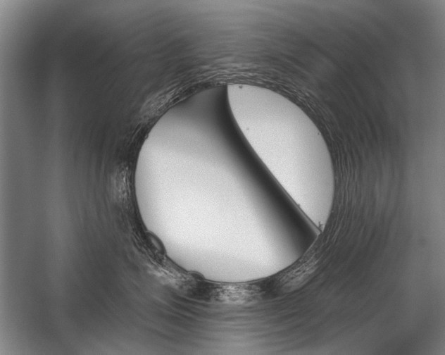 X0000059060623200510071043