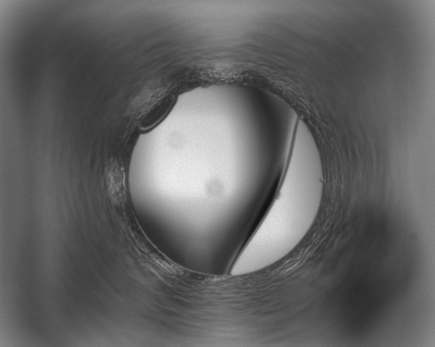 X0000059060624200510071043