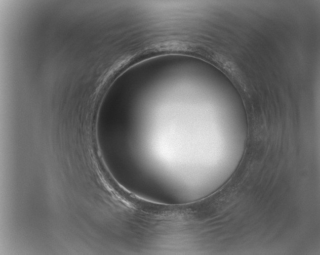 X0000059060625200510071043