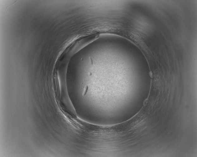 X0000059060626200510071043