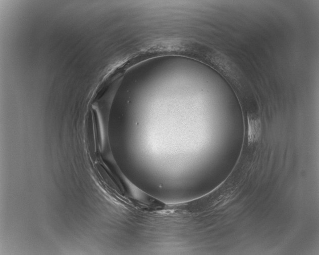 X0000059060627200510071043