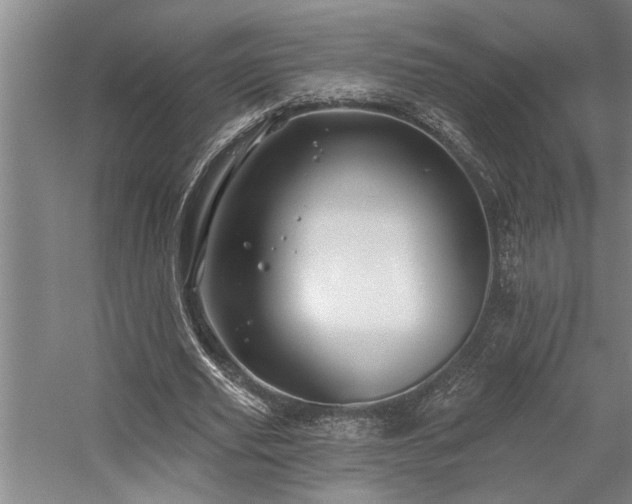 X0000059060629200510071043