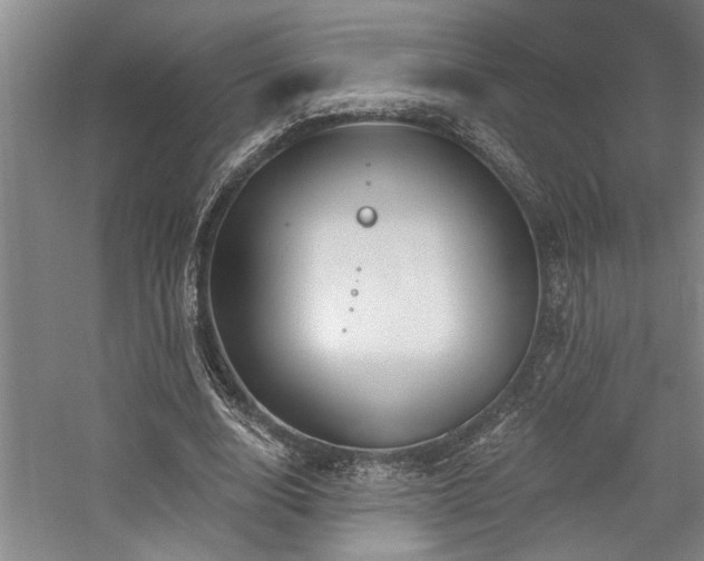 X0000059060632200510071043