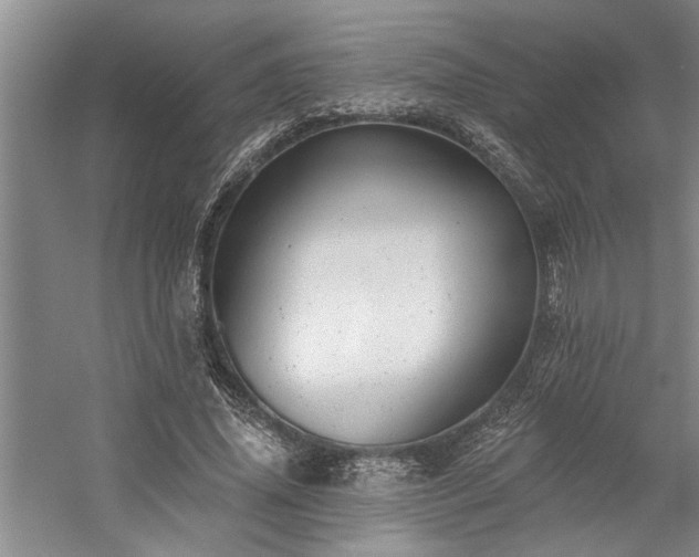 X0000059060636200510071043