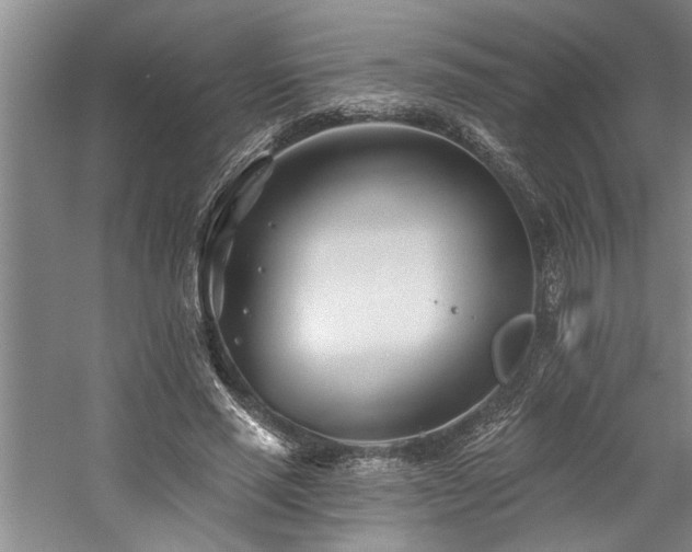 X0000059060637200510071043