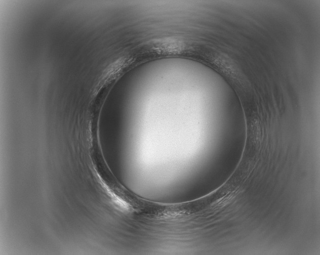 X0000059060638200510071043