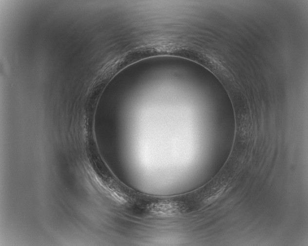 X0000059060639200510071043