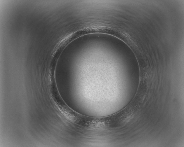 X0000059060640200510071043