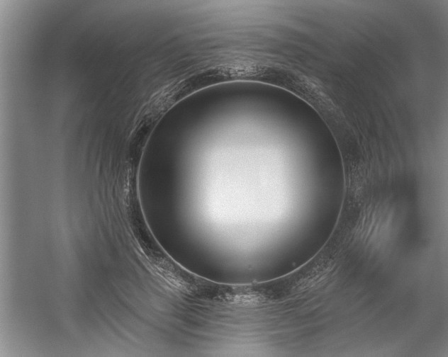 X0000059060645200510071043