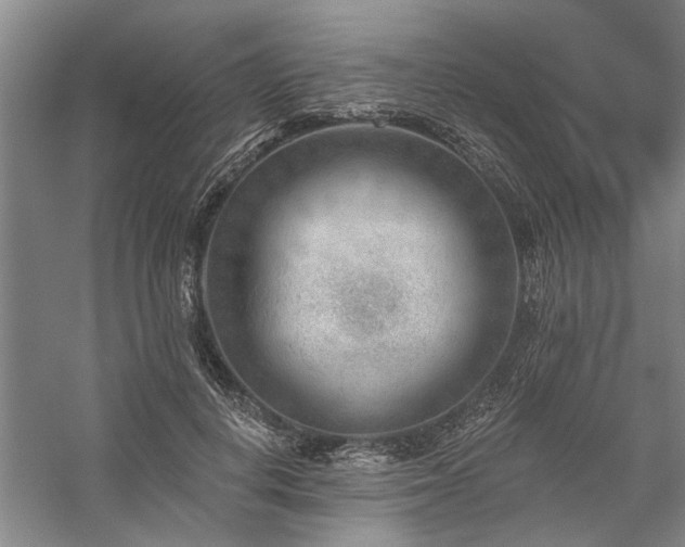 X0000059060648200510071043