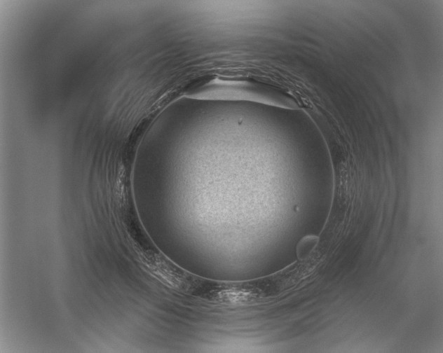 X0000059060650200510071043