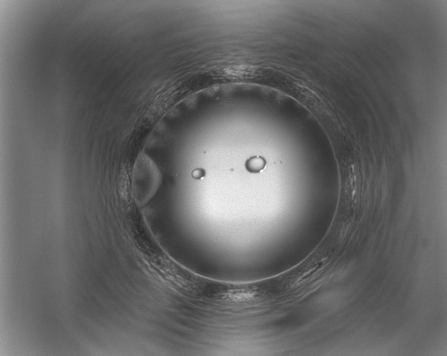 X0000059060651200510071043