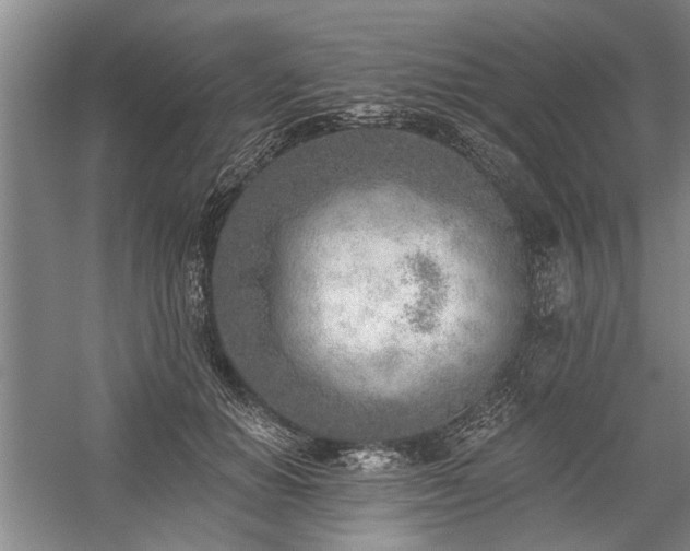 X0000059060654200510071043