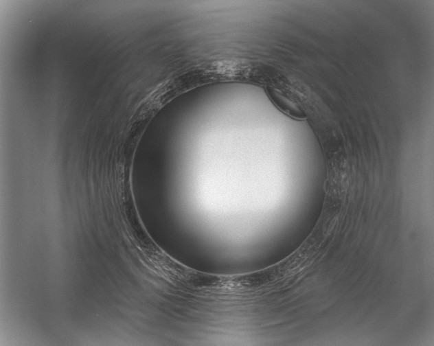 X0000059060656200510071043