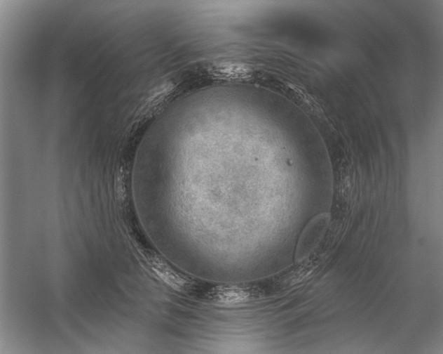 X0000059060658200510071043