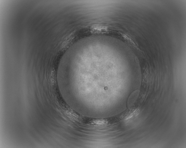 X0000059060659200510071043