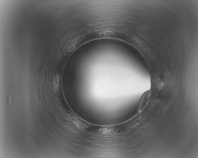 X0000059060660200510071043