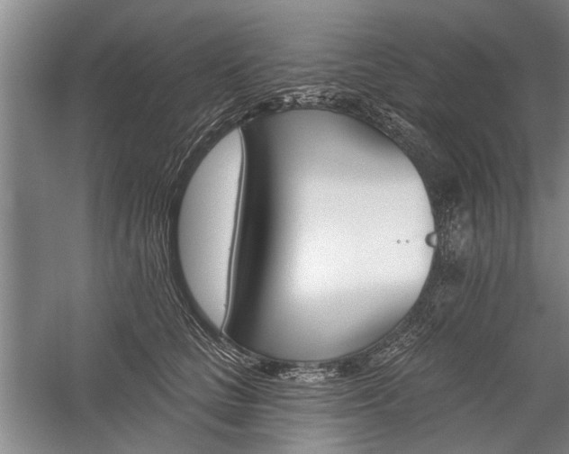 X0000059060661200510071043