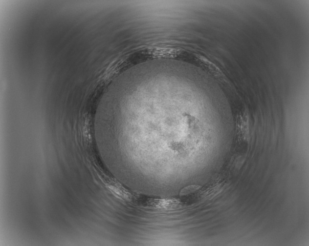 X0000059060663200510071043