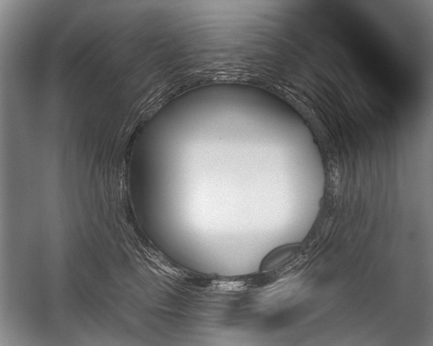 X0000059060665200510071043