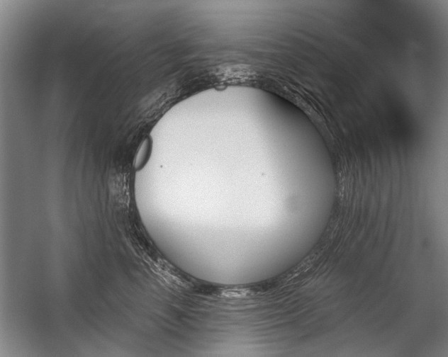 X0000059060666200510071043