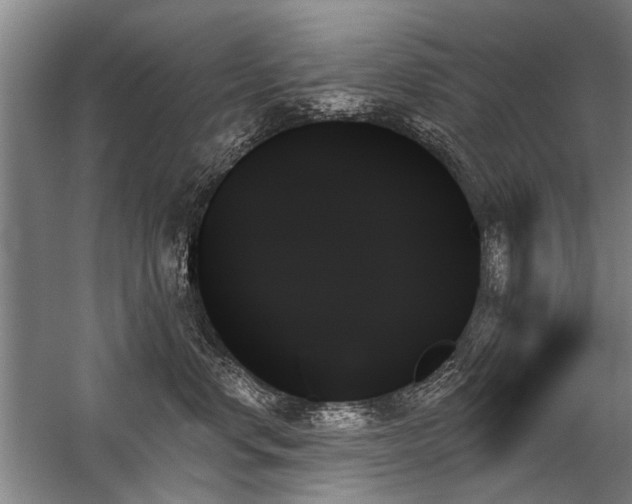 X0000059060668200510071043