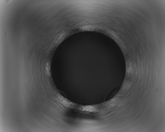 X0000059060669200510071043