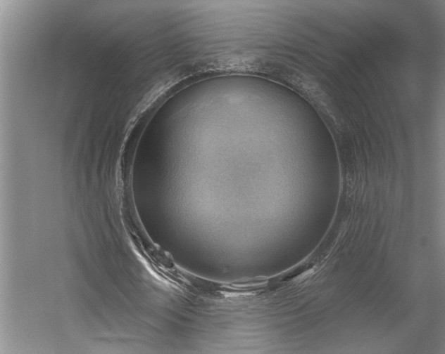 X0000059060674200510071043