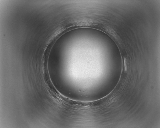 X0000059060675200510071043