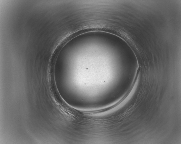 X0000059060676200510071043