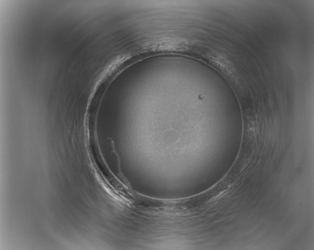 X0000059060678200510071042