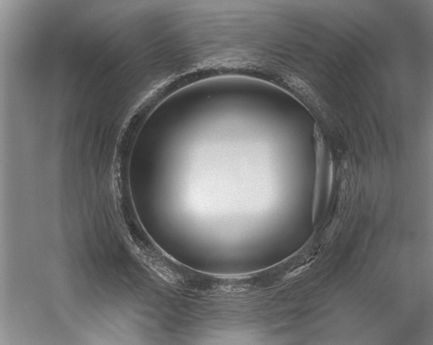 X0000059060680200510071042